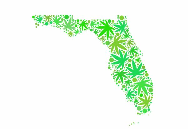 Buying Delta 8 In Florida Delta 8 D8 co
